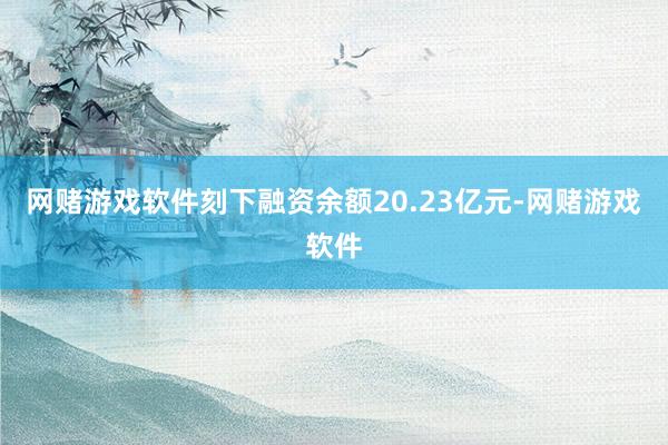 网赌游戏软件刻下融资余额20.23亿元-网赌游戏软件