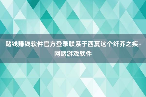 赌钱赚钱软件官方登录联系于西夏这个纤芥之疾-网赌游戏软件