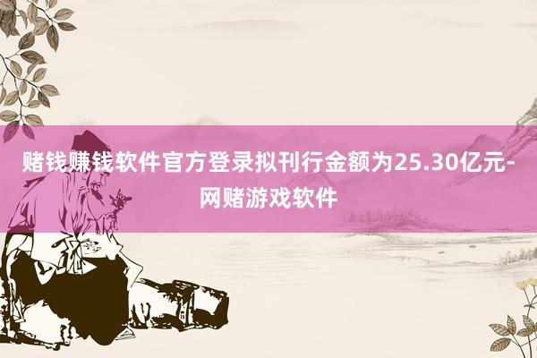 赌钱赚钱软件官方登录拟刊行金额为25.30亿元-网赌游戏软件