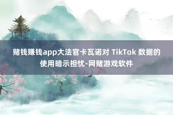 赌钱赚钱app大法官卡瓦诺对 TikTok 数据的使用暗示担忧-网赌游戏软件